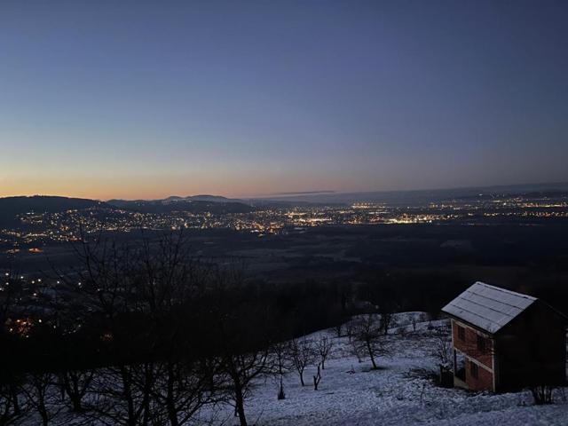 Snowy garden and city lights at dusk